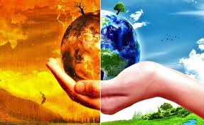 Cambio climático y sostenibilidad: soluciones reales para un desafío global